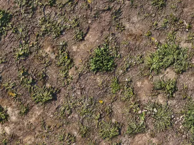 Spring soil 3D model