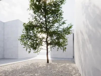 Large forest tree 3D model