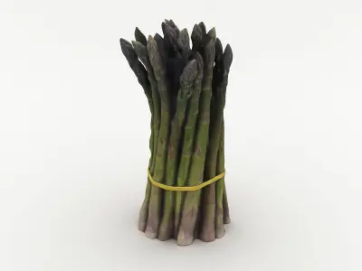 Green Asparagus Bundle 3D model