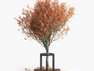 Trestotte Fall 3D model