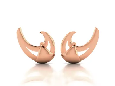Women Earrings 3D print model