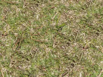 High Quality 4k PBR Scan Tillable Material Texture