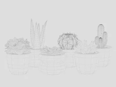 Collection Of Potted Cactus Plants 3D model