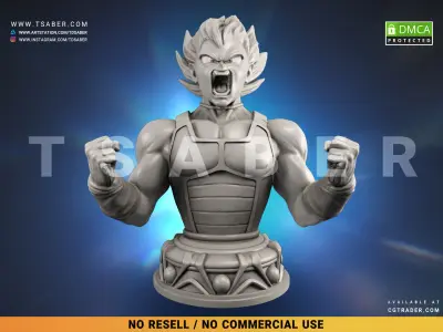 Vegeta Bust - Anime Dragon Ball Z collectibles 3D print model