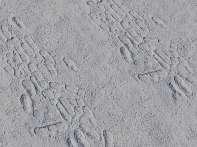 Dry Mud Path With Footprints PBR Texture  Texture