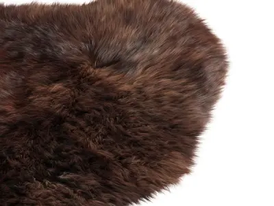 Animal skin rug 03 3D model