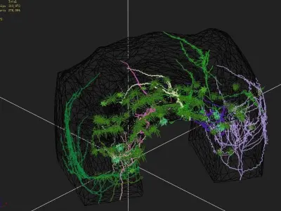 Explore the mountains - Rock 018 3D model
