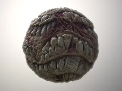 Material Skin Monster 55 Seamless PBR Texture Texture