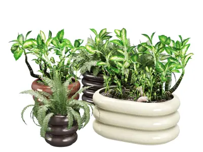 Oyoy awa one 3D model