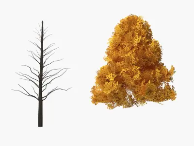  Realistic Lowpoly Autumn Tree Collection 