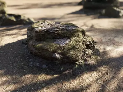 Mossy Forest Rock A Single Free 3D model