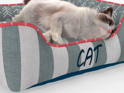  Domestic Cat Napping in Soft Cushion Fur for Cinema 4D 