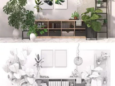 Tropical Indoor plant collection 3D model
