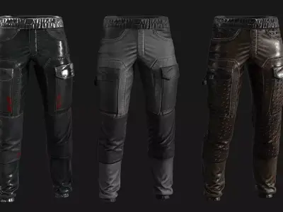 Fashionable Stylish Pants 3 colors Low-poly 3D model