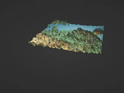 East China Map Topography Low-poly 3D model