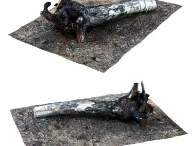 stump 002 Low-poly 3D model