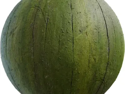 Mossy Weathered Plaster Wall PBR Texture 4K Texture