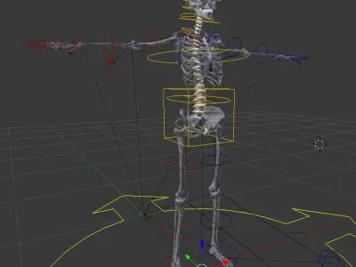  BLENDER Rigged Male and Female Anatomy V07 