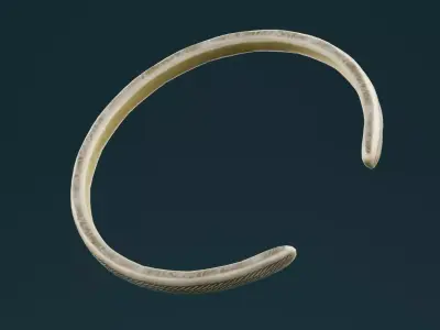 Golden Bangle  Low-poly 3D model order