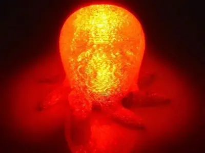 Cute Octopus Shell Free 3D print model