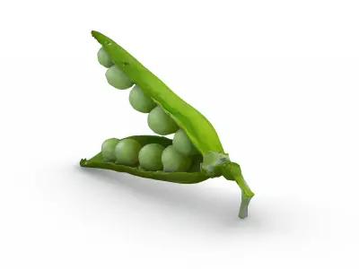 open peapod 3D model