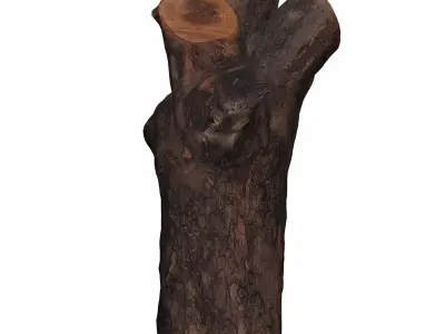 trunk 102 3D model