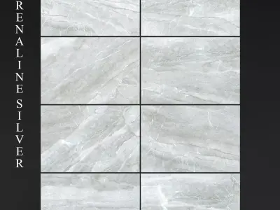 Peronda Adrenaline Silver 3D model