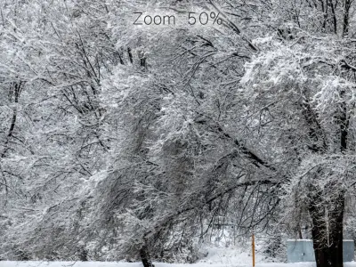 Panorama of the park with a lake and snow-covered trees - 46k 3D model