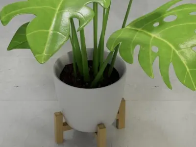 Monstera plant in modern Pot 3D model 3D model