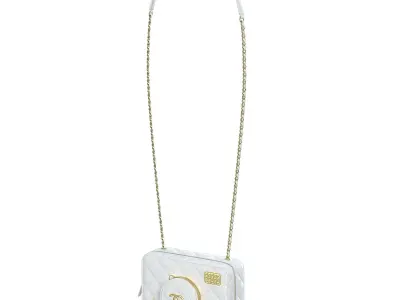 Camera Bag White Low-poly 3D model