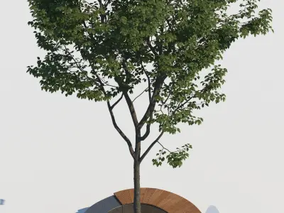 street bench and tree wind animation 3D model