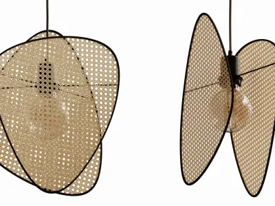 Pendant light cannage 3D model