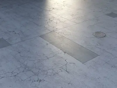 Editable Asphalt with cracks and patches 3D model