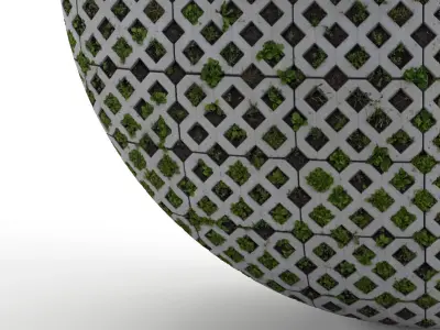 Seamless lawn parking material Texture