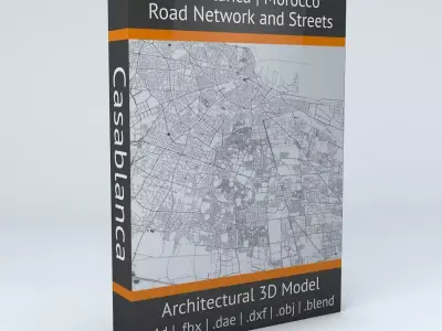 Casablanca Road Network and Streets 3D model