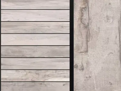 ABK Dolphin Moon 200x1200 3D model