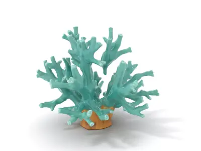 Turquoise Coral model pack Low-poly 3D model purchase