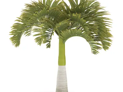 Christmas Palm Tree 3D model