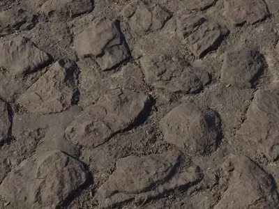 Mudbound Fieldstone Path PBR Texture  Texture