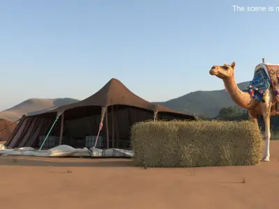  Traditional Bedouin Tent with Camel Fur 