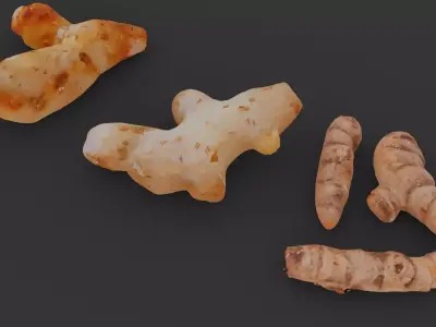 Herbal Root Collection 3D model