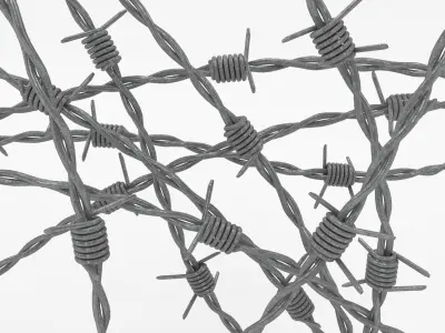Barb Wire Low-poly 3D model