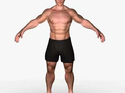 Full Male Body With Skeleton 3D model