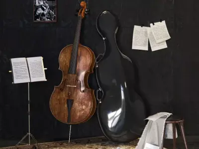 Cello Set 3D Model  Realistic Classical Interior Scene 3D model