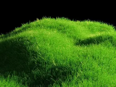 Blender Realistic Grass With Particle System Low-poly 3D model
