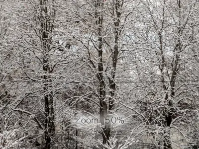 Panorama of the park and snow-covered trees - 45k 3D model