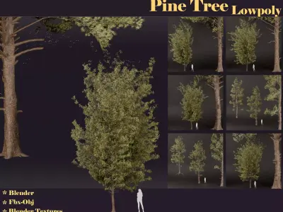 SJ-lowpoly pine tree set 01 Low-poly 3D model