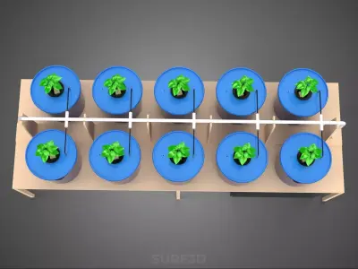 DIY GREENHOUSE BATO DUTCH BUCKET HYDROPONIC SYSTEM PLANT ARRAY 3D model