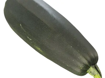 4k vegetable marrow 3D model