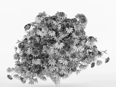 Rhododendron tree with flowers 3D model